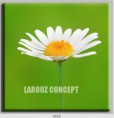 /album/photo-gallery-canvas-uri/decoratiuni-de-perete-canvas-lc-0535-jpg/
